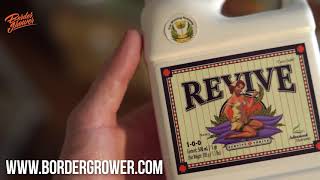 Usa la fórmula de salvación y alivio para plantas REVIVE de Advanced Nutrients y libera el estrés