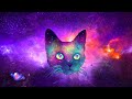 Космический Кот. Медитация релаксация для глубокого расслабления и сна