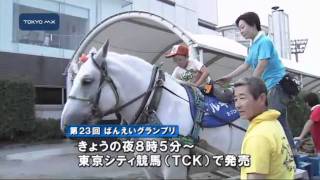 サラブレッドの2倍　東京シティ競馬に巨大ばん馬が登場