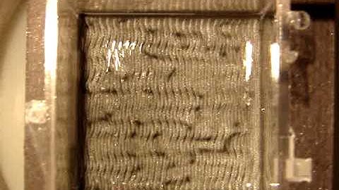 Mesmerizing magnetic fields: The flow lattice