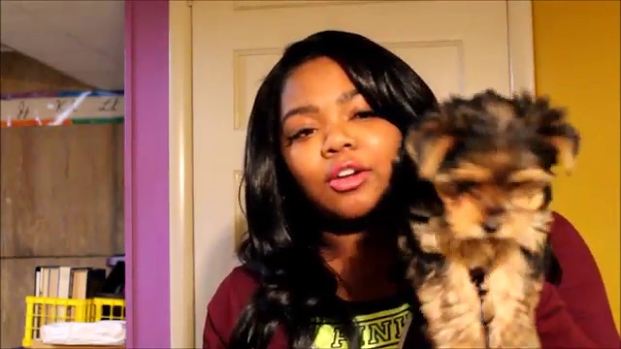 I Got A New Puppy ! + Vlog + Puppy Haul YouTube