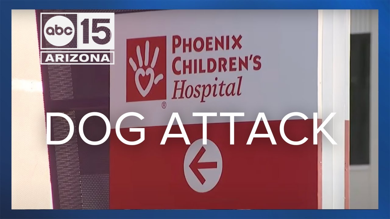 Phoenix toddler recovering from dog attack - YouTube