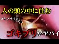 【閲覧注意】人間の頭の中に住むゴキブリ！？人の体から発見されたゴキブリ達