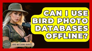 Can I Use Bird Photo Databases Offline? - Bird Watching Diaries