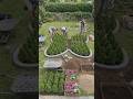 #garden #transformation #timelapse #satisfying #landscaping #beforeafter
