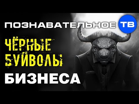 Чёрные буйволы бизнеса (Познавательное ТВ, Денис Соколов)