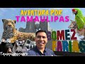 Video de Gomez Farias