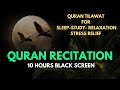 Quran Recitation 10 Hours Black Screen No ADS!   ساعات شاشة سوداء عالية الجودة للقرآن الكريم