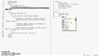 CSS Styling in Brackets