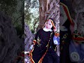 جديد اغنية شاوية رائعة اولنو يتشاث فلام احنا 2026 تحلين لزهر سعيدي حبيب 
