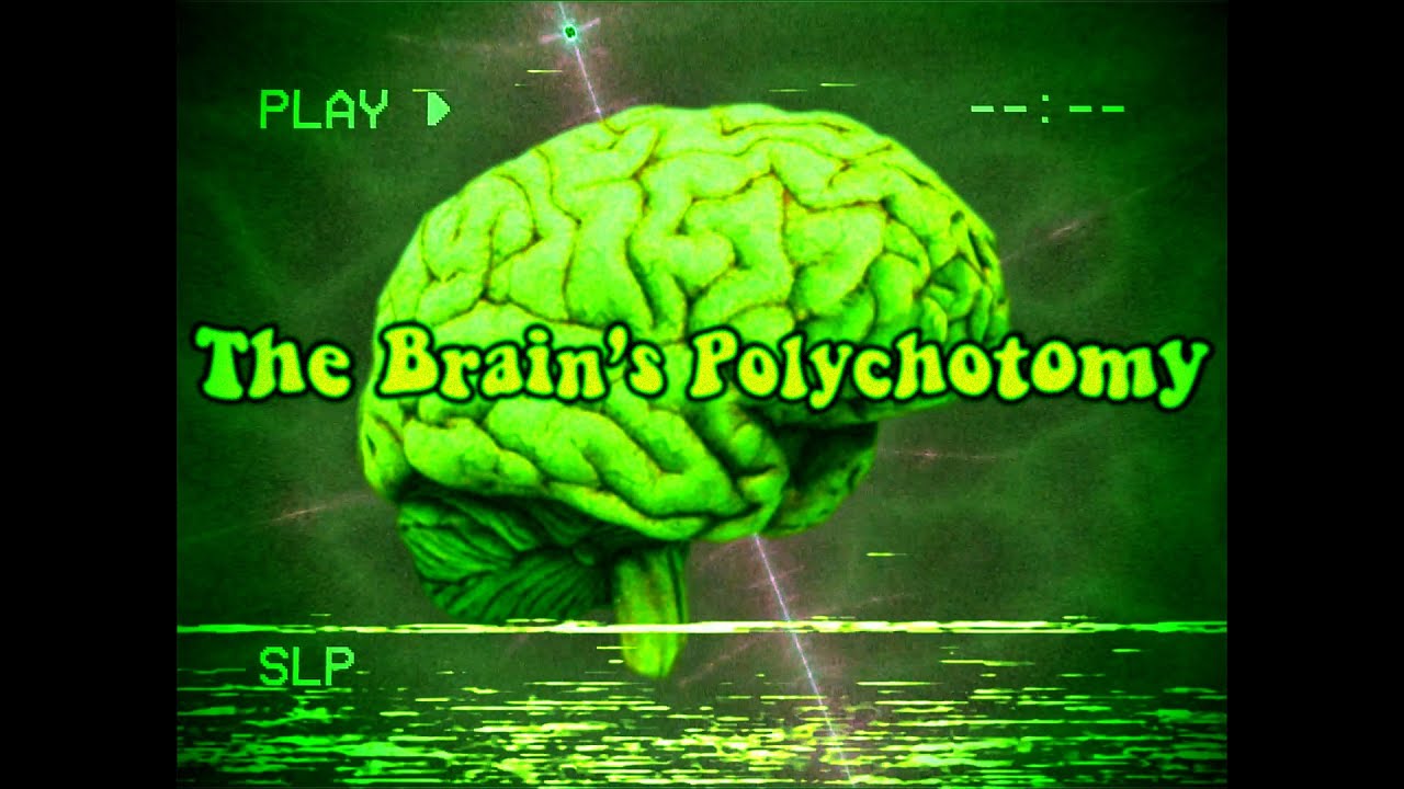 The Brain's Polychotomy: The Grass Is Always Greener on the Other Side ...