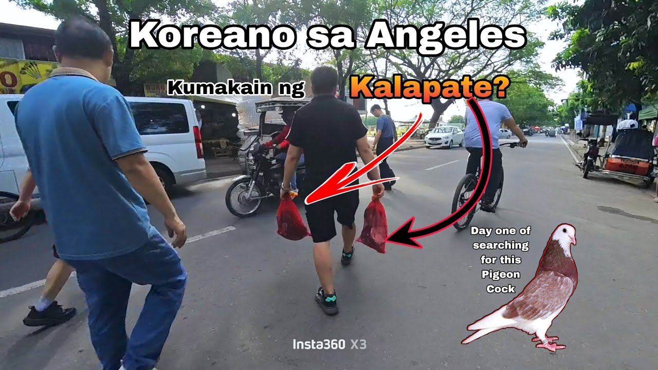 Kalapati at iba pa - Angeles Pet Market Pampang Bargain Day.