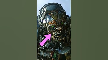 Did You Know That Lockdown... | Bayverse