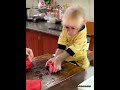 Dad is cutting watermelon, and the diligent monkey obediently stands by and helps