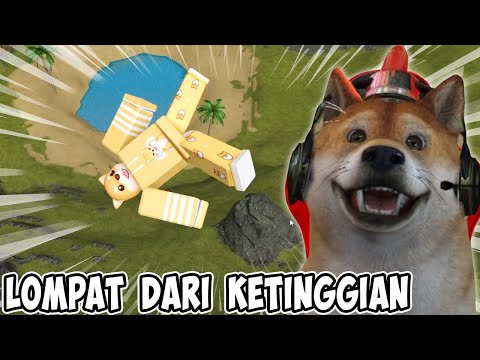 Video: Adakah anjing curi gunung menumpahkan?