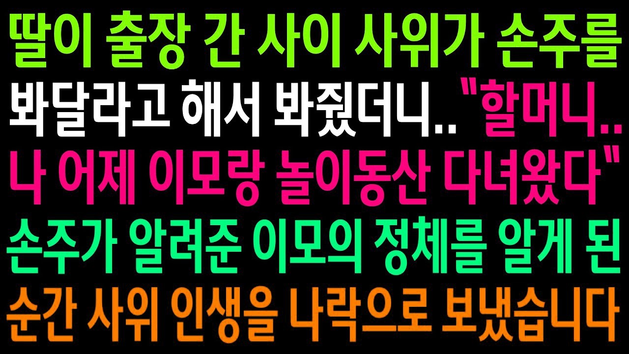 반전사연사위가 손주를 봐달라고 해서 봐줬더니 이모랑 놀이동산 갔다는 손주  이모의 정체를 알게되고 사위 인생을 나락으로 보냈습니다신청사연사이다썰사연라디오
