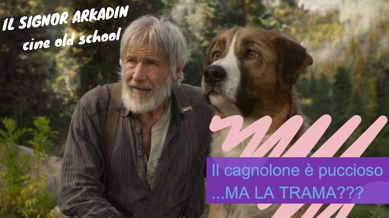 Il Richiamo Della Foresta Amazon Prime Video