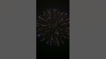 5 inch shell (125mm) shell - Gold willow to blue 2018-2019