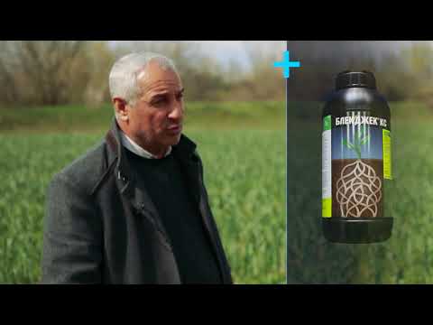 სადემონსტრაციო ნაკვეთი. ნიორი. ლაგოდეხი, ჰერეთის კარი. 28.03.2019