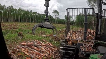 John Deere 1010G Forwarder - Loading birch pulpwood, challenging wood quality (Sped up video)