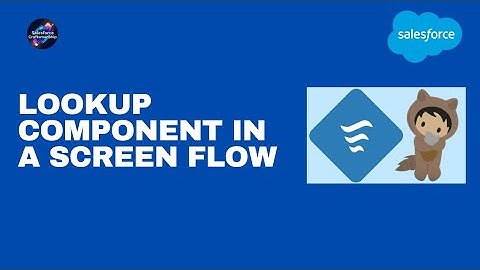 20.Lookup component in a screen flow