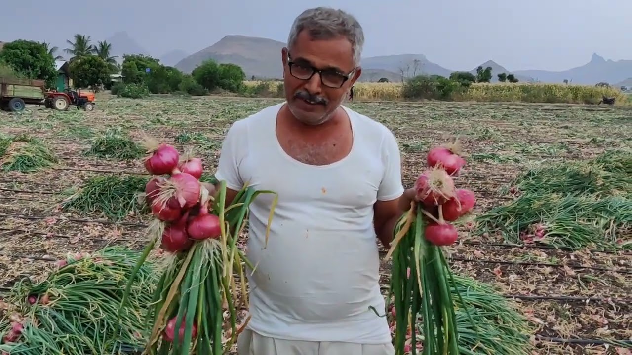 S0il charger tech.🧅 सॅाईल चार्जर टेक्नोलोजी म्हनजे 24 कॅरेट सोनं ‼️SCTच्या 5000 रु.त १ एकर कांदा 💪