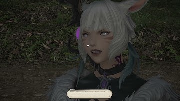 A Guide of Sorts [FFXIV ENDWALKER]