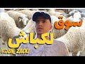 سوق الكباش مين تروح تشري خروف وتلقاهم غاليين 