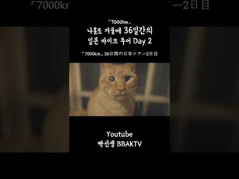 일본바이크여행 - 나가사키 사세보 #바이크여행 #travel #日本旅行 #여행 #일본