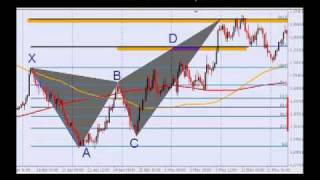 harmonic pattern trade forex gartley bat butterfly crab part2