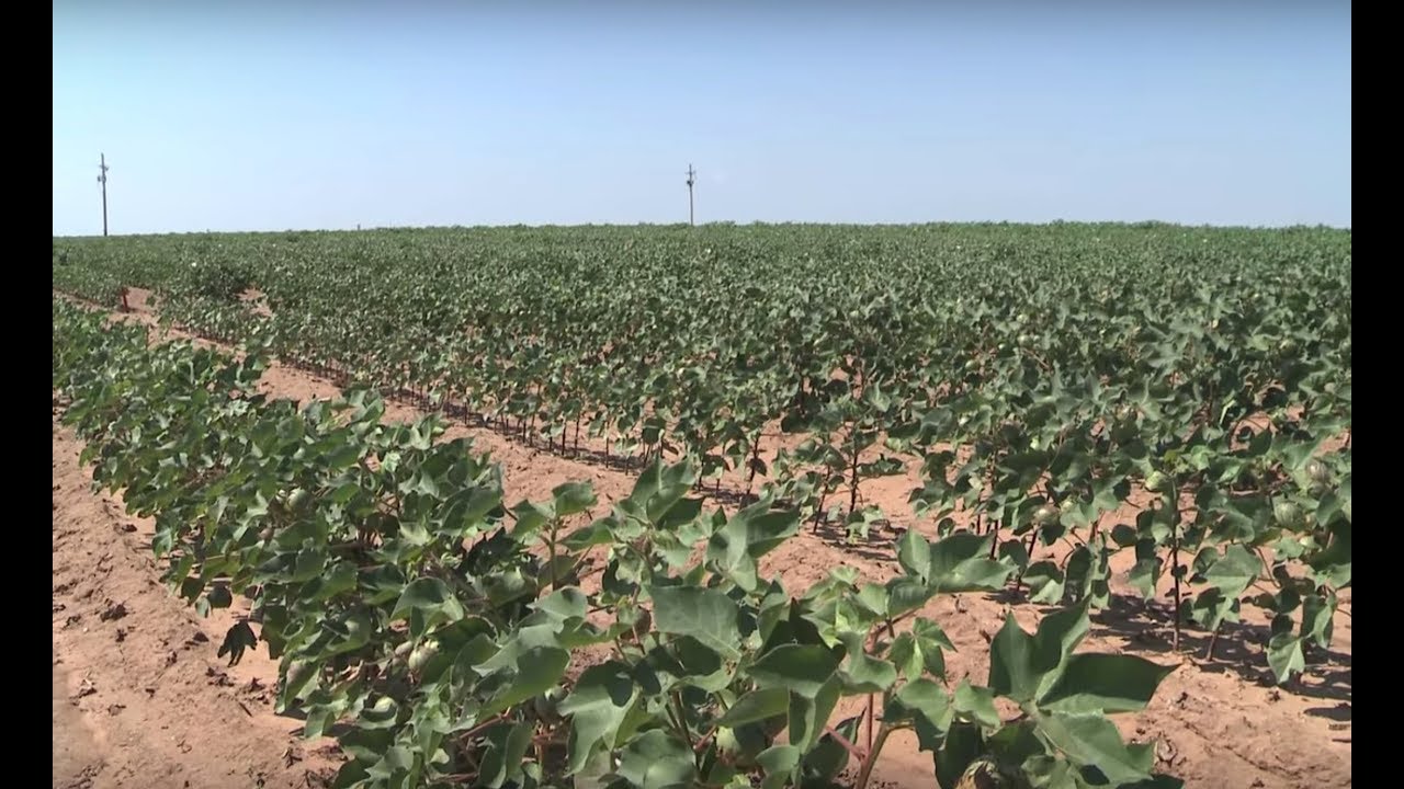 Ncis Adjuster Schools In Action Cropinsurance Crop Insurance School Real Stories