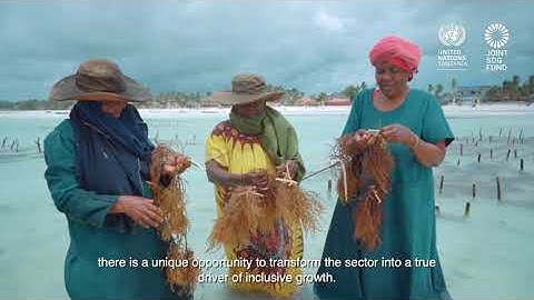 UN Resident Coordinator in Tanzania visits Seaweed Farmers in Zanzibar