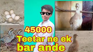 Ek Jora Lo Or Kama O