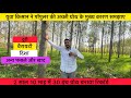 2 साल 10 माह के पेड 30 इंच की शानदार ग्रोथ किसान ने बना दिया रिकॉर्ड ?