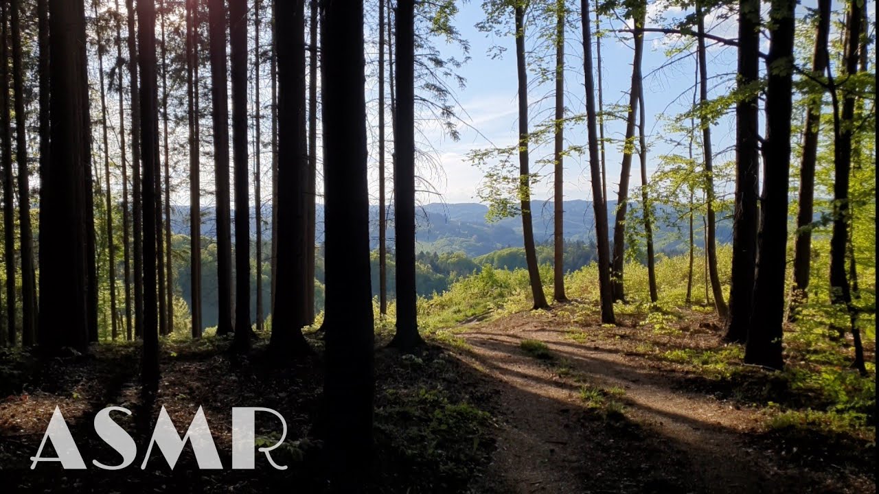 Rozklepaná procházka ASMR (Lo-fi)