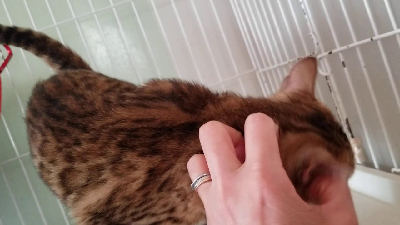 5月日生まれの女の子 2 2 Youtube