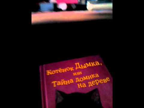 Обзор книги Котёнок Дымка или тайна домика на дереве.