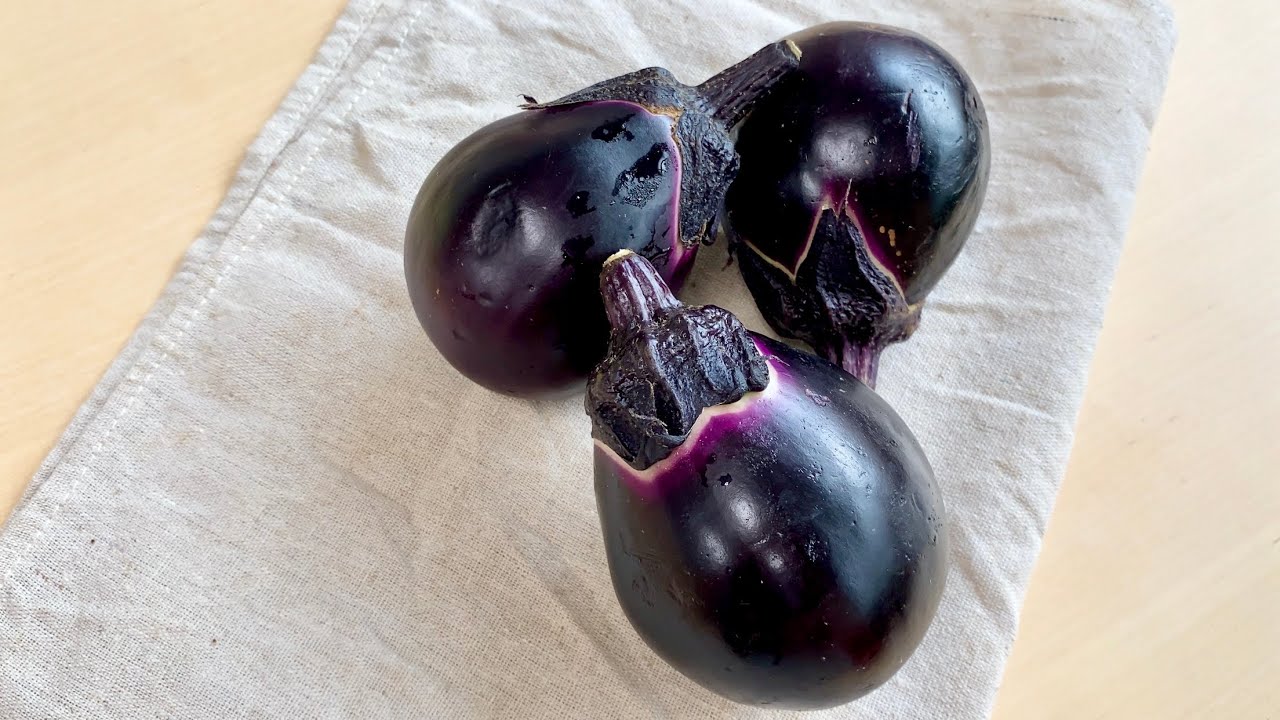 Round Eggplant: Vegetable Prep & Cooking Tips by Shokuiku Marche