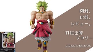 A series of events starting with Blue Hair Broly: THE Departure