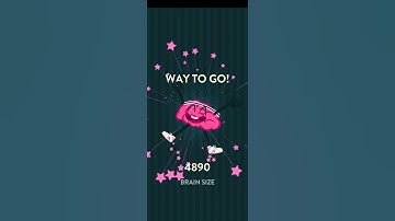 Wordbrain Cat Level 3 Answers | WORDBRAIN CAT ANSWERS