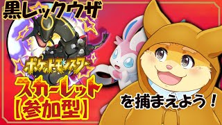 【参加型配信】みんなで黒いレックウザレイドゲットしよう～！！ 【ハムスターVtuber/日葵ときと】