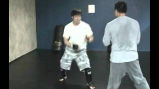 Aikido vs Modified Wing Chun Sparring at Open Martial Arts Meetup