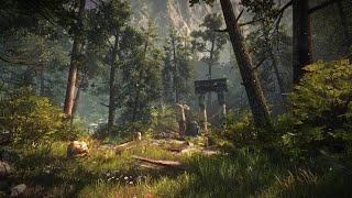 The Forest VR #LIVE coop Day 2
