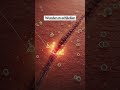 „Die Wahrheit über deinen Körper – was dir niemand sagt! | Folge 1“