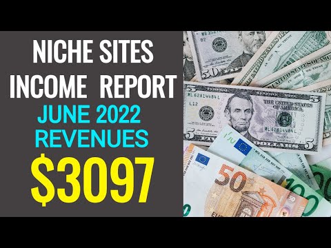 Niche Sites Earning - June 2022 | Micro Niche Blogs Income Report | Portfolio P&L Report