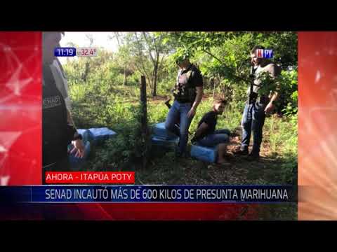 Itapúa Poty: Senad incauta más de 600 kilos de droga