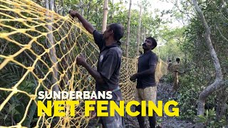 Sundarban Net fencing: Everyday Guards brave dangers to save lives