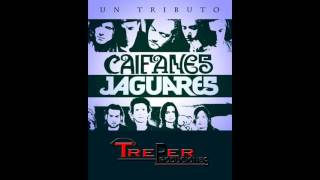 Vignette de la vidéo "Popurri Caifanes y Jaguares"