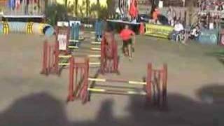 2007_11_04 USDAA GP Finals-26