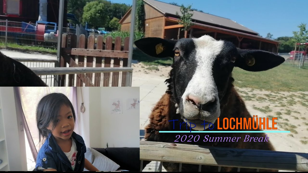 Attractions Freizeitpark Lochmhle Attractions Freizeitpark Lochmhle